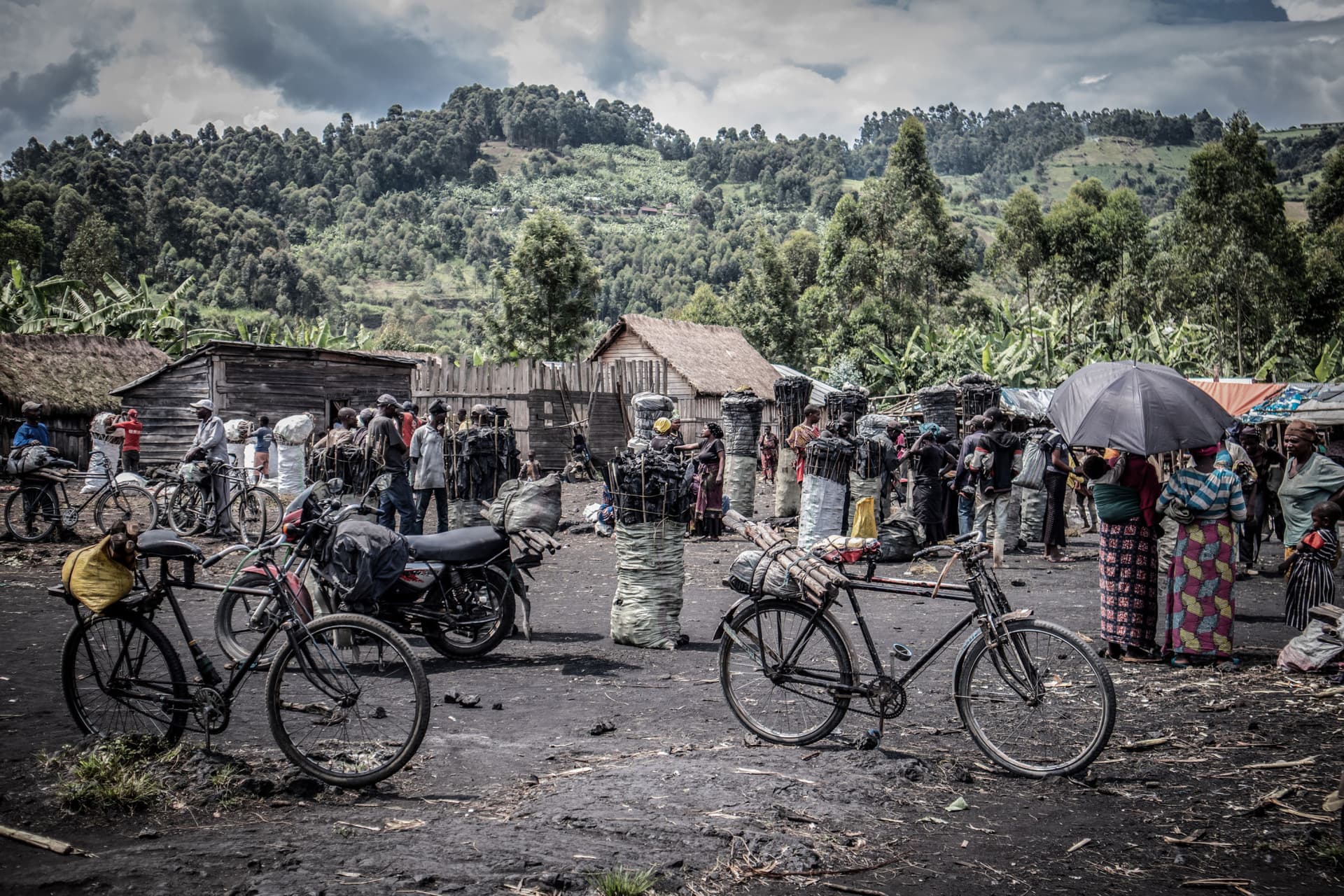 Commerce du charbon de bois par les FDLR