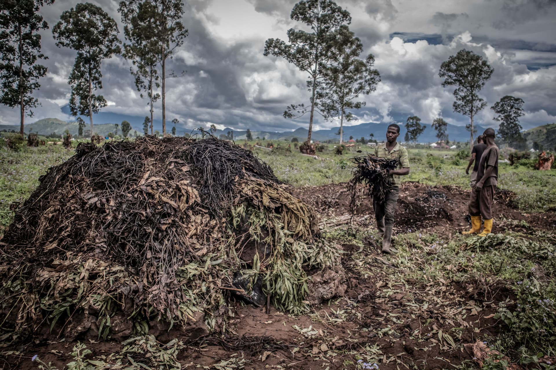 Exploitation charbon fdlr