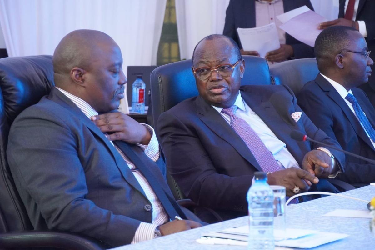 Photo Sauvons la RDC